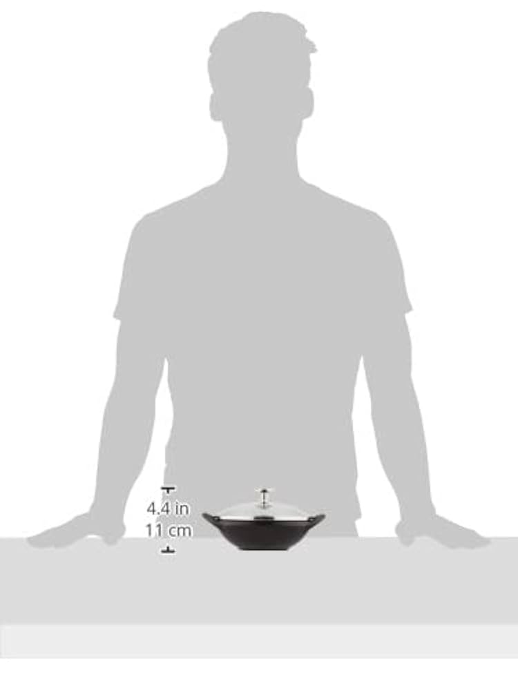 Staub ベビーウォックリネン　２個セットでの出品 Staub ベビーウォックリネン 2個セットでの出品 Amazon.co.jp